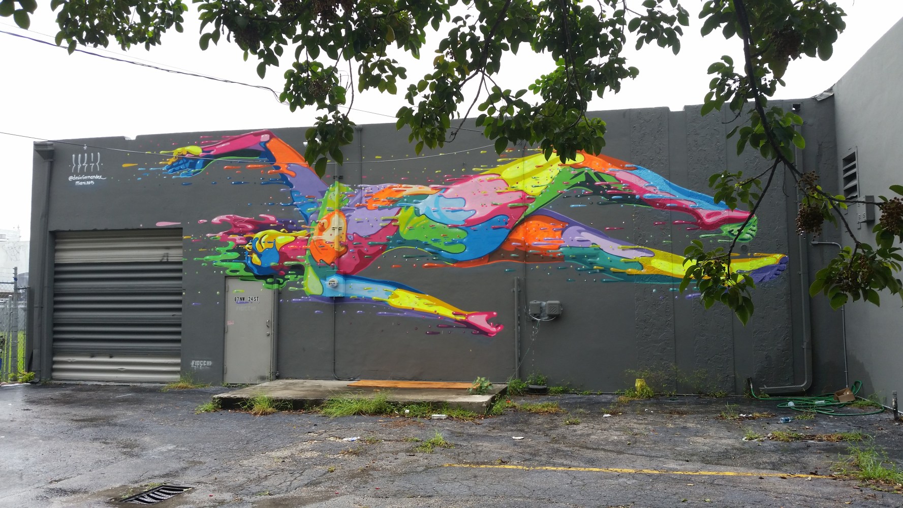 Dasic Fernandez for Art Basel 2015